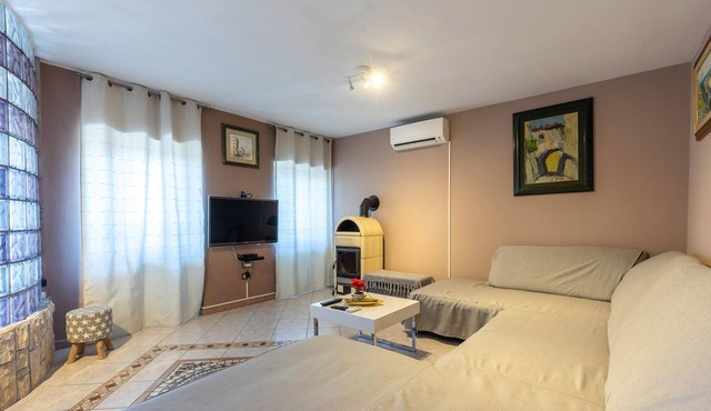 Spend a pleasant vacation with your pets in this apartment in Kostrena.