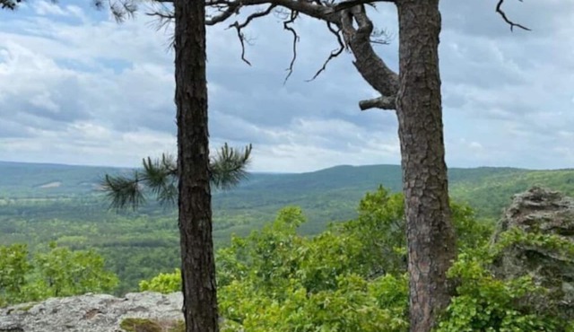 Spend Spring at a Mountaintop Retreat
