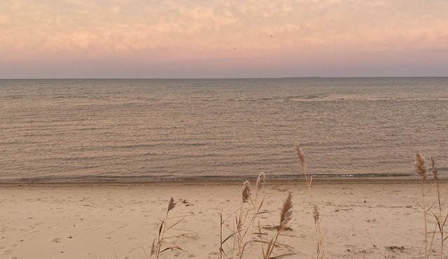 Spend time in the Sun and Sand at Cozy Cottage of Caseville.