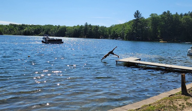 Spider Lake’s "Turtle Cove” – Your Private Northern Michigan Lakeside Escape