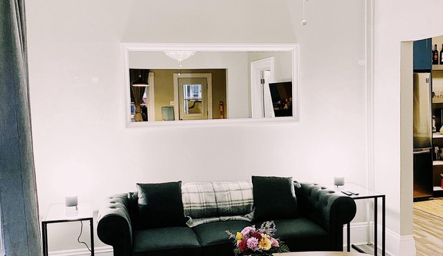 Spin & Sip | Dog-Friendly Vinyl Vibes Downtown