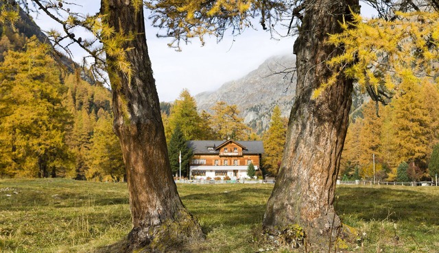 Spinas Gasthaus Val Bever - Hostel