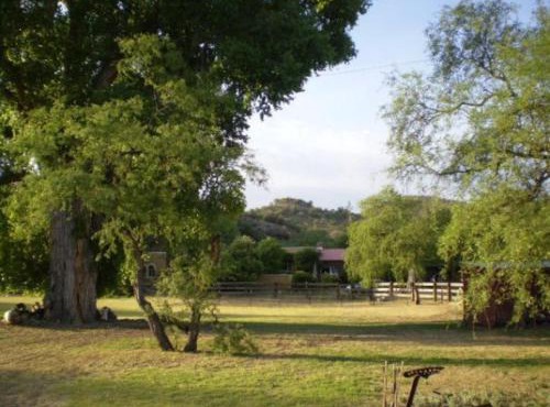 Spirit Tree Inn B&B