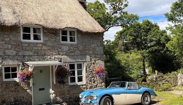 Splash Cottage - Two Bedroom House, Sleeps 4