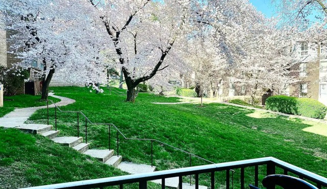 Splendid 2bed 2bath condo in Silver Spring with free Parking laundry and AC WiFi