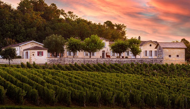Splendid chartreuse in the heart of its vineyards