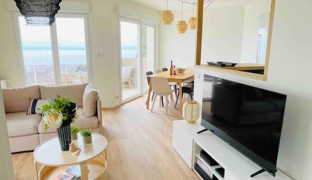 Splendid Duplex Apartment renovated Evian lake view 8 people