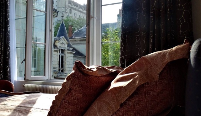 Splendid view of the Château and the Loire