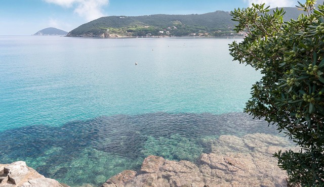 Splendid villa 6 places directly on the sea, combined with discount ferry in Procchio