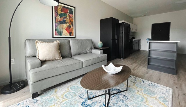 Spotless 1BD/1BA + Balcony- Downtown Omaha