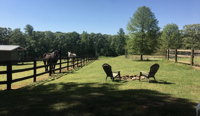Spotted Fawn Farm/Vintage “Don” restored 1951 airstream/Richardson tiny house
