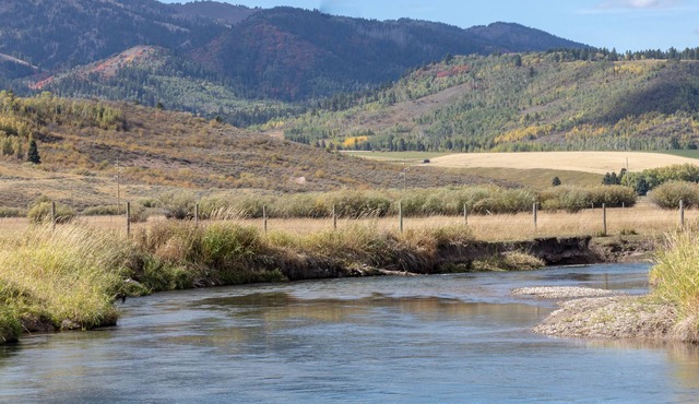Spotted Moon Ranch - River Front - Tiny Home