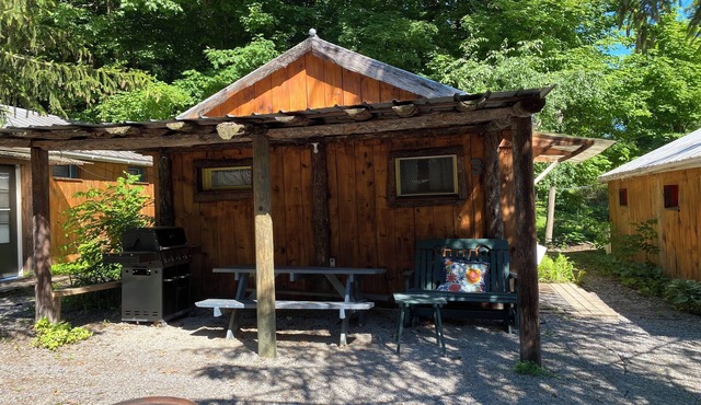 Spotted Sandpiper - Cabin #3