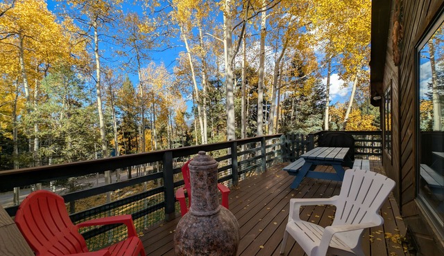 Spring-Break, Family Mountain Cabin! Near Angel Fire Ski Resort, Pet Friendly
