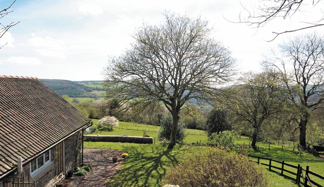 Spring Cottage - HW7734