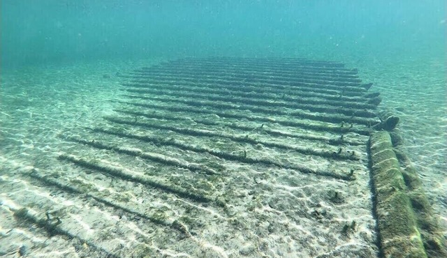 Spring Diving Capital . Walk to Ruth Springs and 1 mile from Troy .