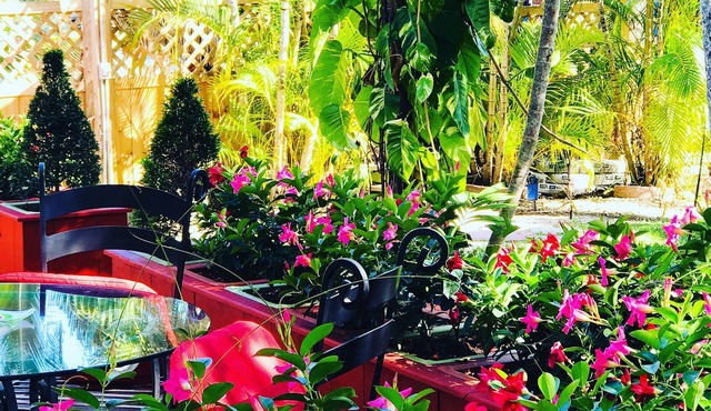 SPRING GARDEN OASIS ~ Just 5 minutes away from everything in Miami ~