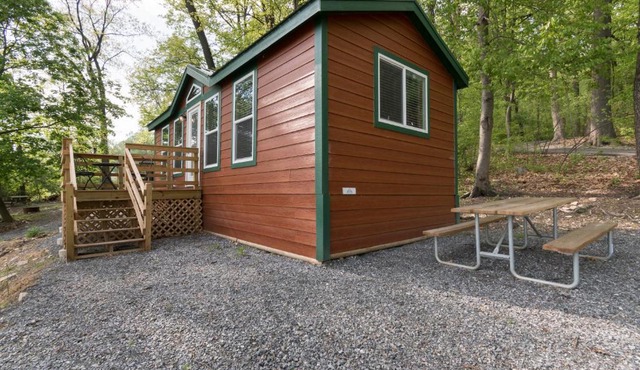 Spring Gulch Cottage 1