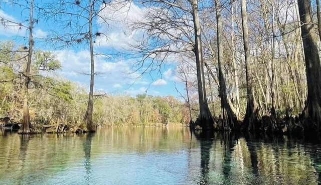 SPRING HAVEN RETREAT! A BEUTIFULL ANDSPOTLESS!