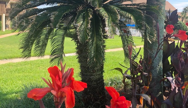 SPRING IS HERE ~ BEACH SERVICE INCLUDED - STAY 7 NIGHTS 7th NIGHT FREE