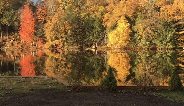 Spring Lake Waterfront Cottage