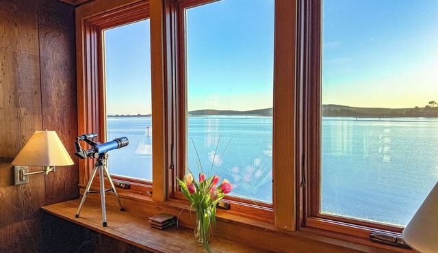 Spring Lily Cottage!Huge Views of Bodega Harbor!HotTub/Firetable/WiFi/Pup ok!