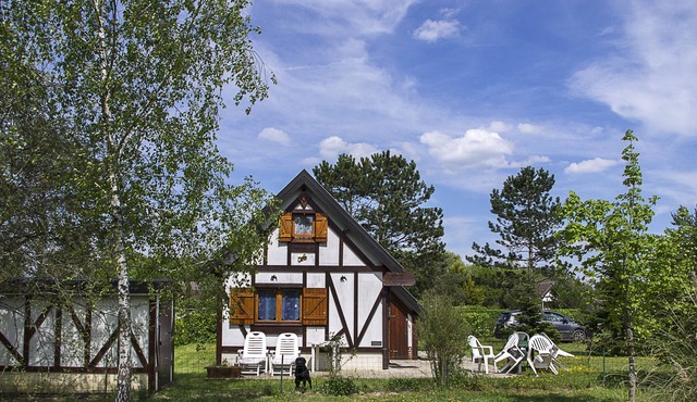 Spring nature and sport in 'fleur de sologne'