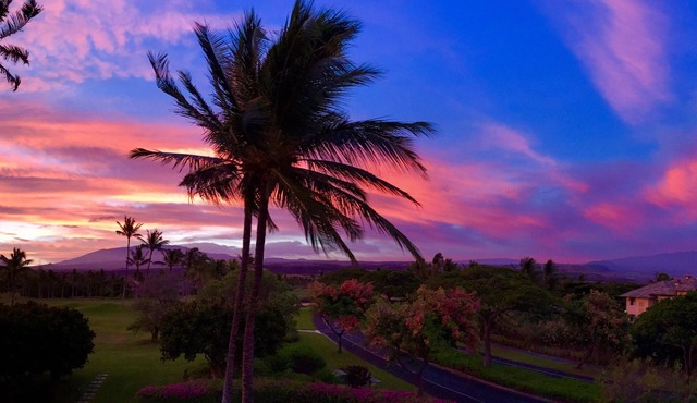 Spring "Price" Break - Spectacular Beach Resort Condo, Amazing Views, Unit F-206