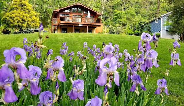 Spring Riverfront Hideaway – Cozy 2BR/2BA Near Shenandoah National Park