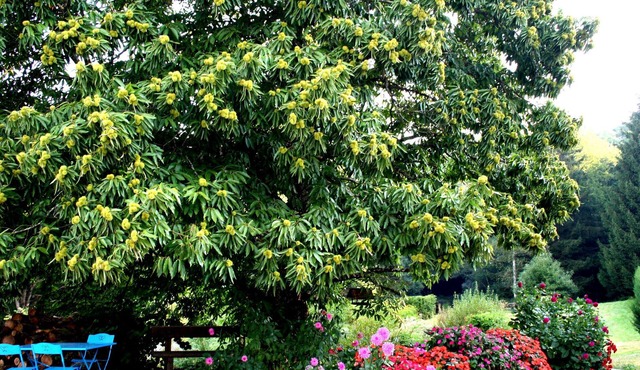 Spring Room with Park and Nature Activities