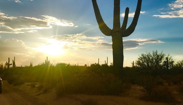 SPRING SPECIALS:Cozy Farmhouse in the Desert close to Troon, Mayo and WestWorld