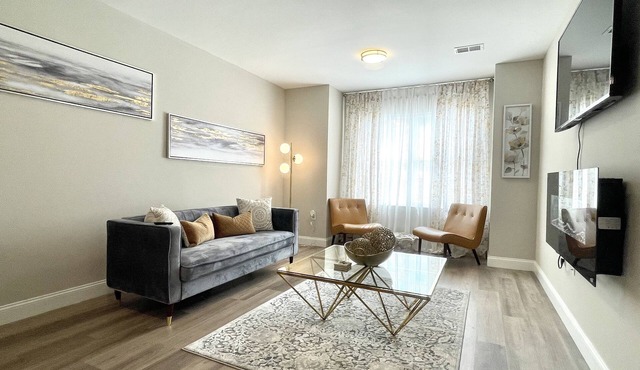 Spring Suite 15
