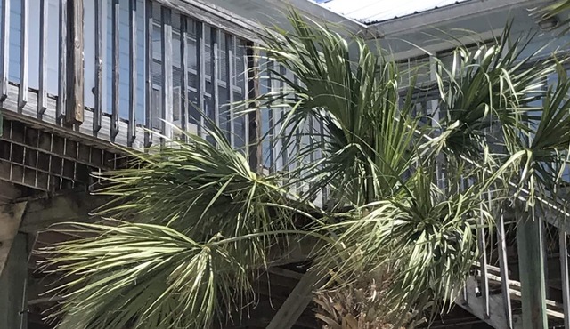 Spring Warrior Fish Camp #2 Located on the Gulf of Mexico