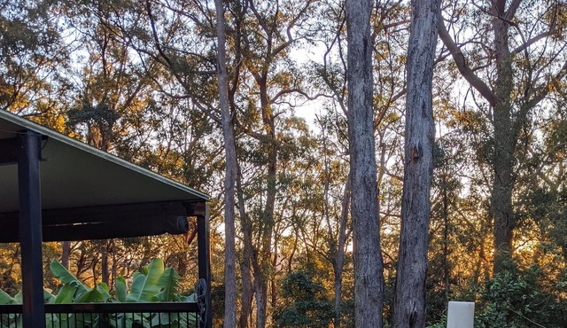 Springbrook Gold Coast Hinterland Hikers Cottage
