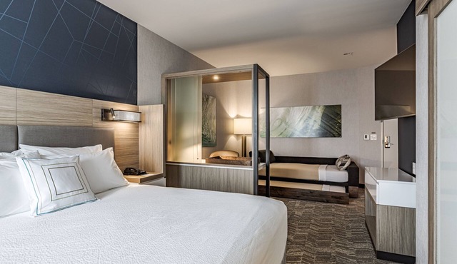 SpringHill Suites by Marriott Detroit Sterling Heights