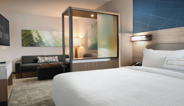 SpringHill Suites by Marriott Dallas DFW Airport South/CentrePort
