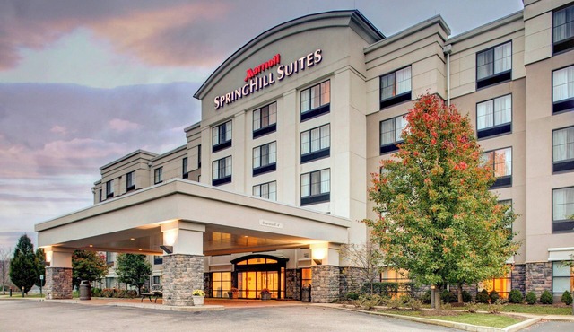SpringHill Suites by Marriott Wheeling Tridelphia Area