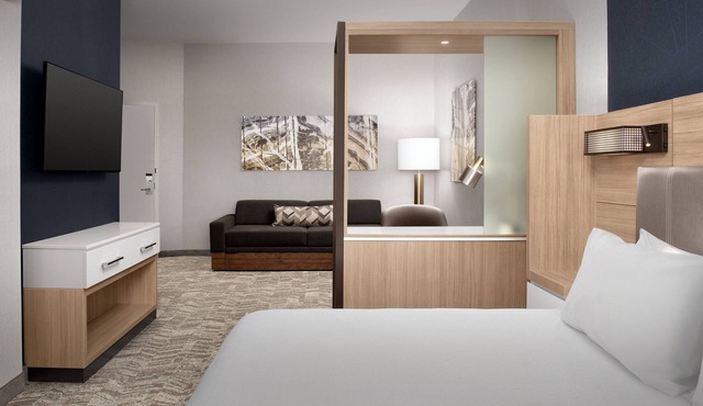 Springhill Suites By Marriott Fayetteville I 95