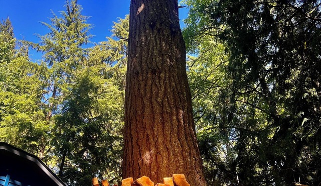 Springtime in the Valley! Modern Charm and the BEST Hiking and Biking in the PNW