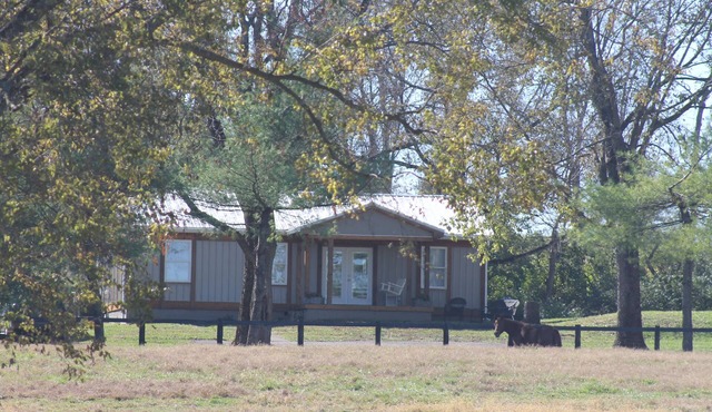 Springwood Cottage in the Heart of the Bluegrass