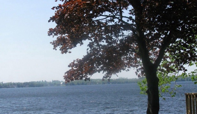 Spruce Cottage at Shiloh Cottages - Fenelon Falls