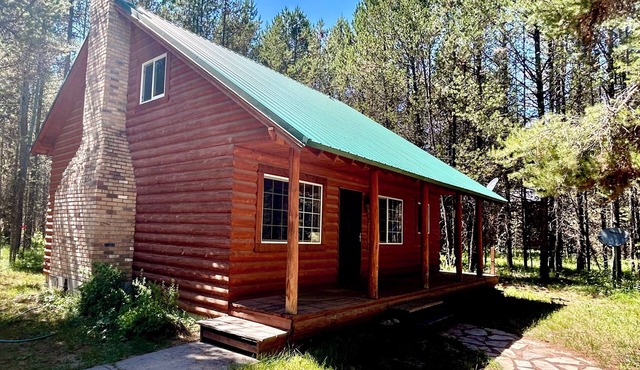 Spruce Fly on Bill's Island! Enjoy four private bedrooms and 2 full bathrooms!