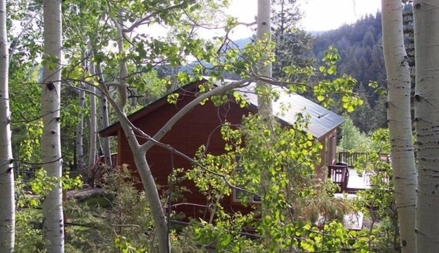 Spruce Ridge Cabin Close to Monarch and Salida on Little Cochetopa Creek