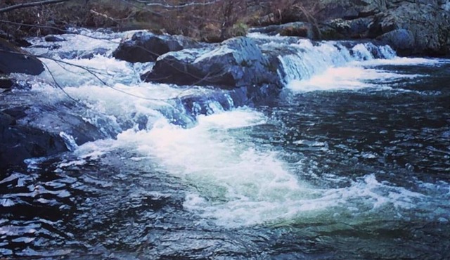 Squirrel Creek Site!