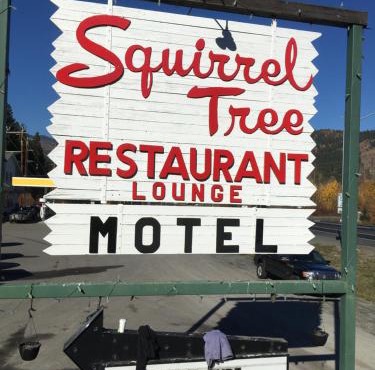 Squirrel Tree Resort