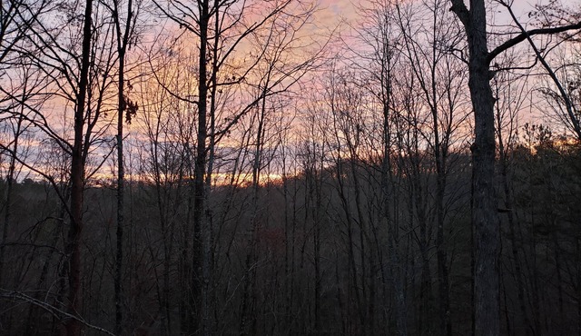 Squirrels Hideaway | Fire Pit | MTN Views