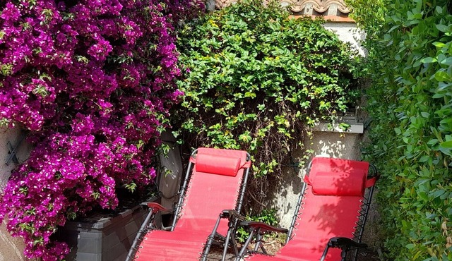 St CyprienFlower-filled house in a quiet area close to the beaches