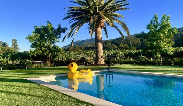 St Helena luxury estate with 360 vineyard views and best location for walking.