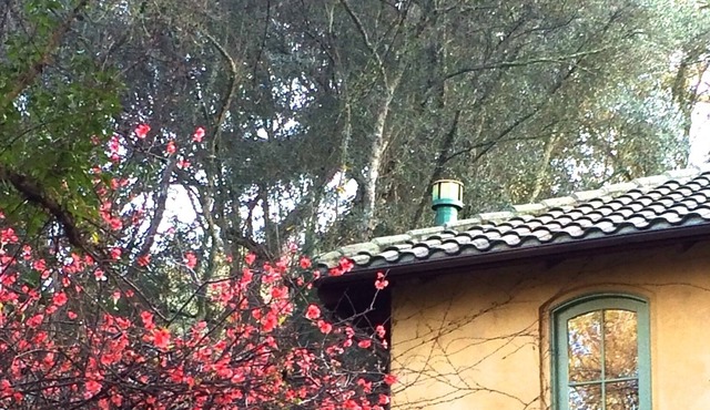 ST. HELENA ROMANTIC TUSCAN VILLA