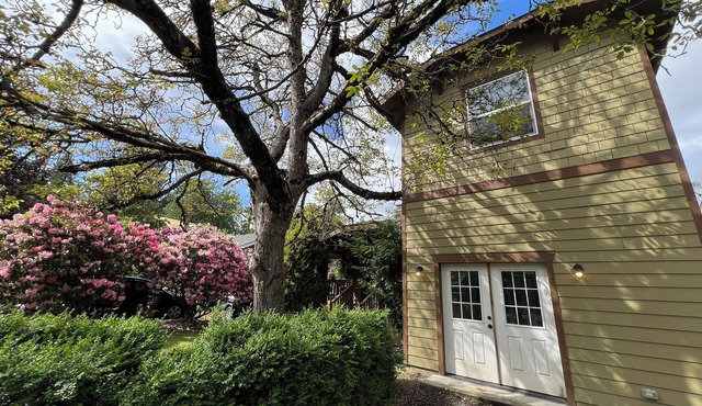 St. John’s/cathedral park getaway